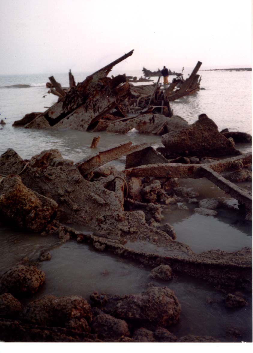 Les restes du Cérons lors de grandes marées en 1997  (Photo GRIEME)